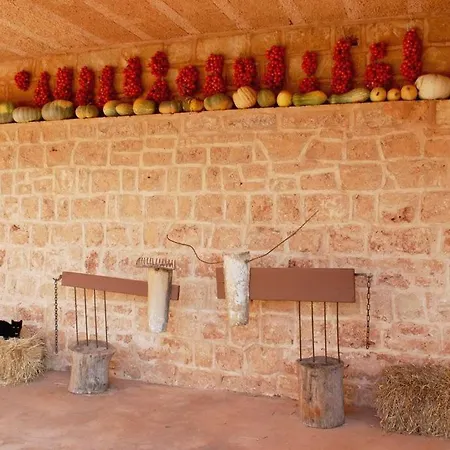 Farm stay Masseria Galatea *