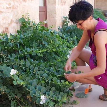 Masseria Galatea Alessano