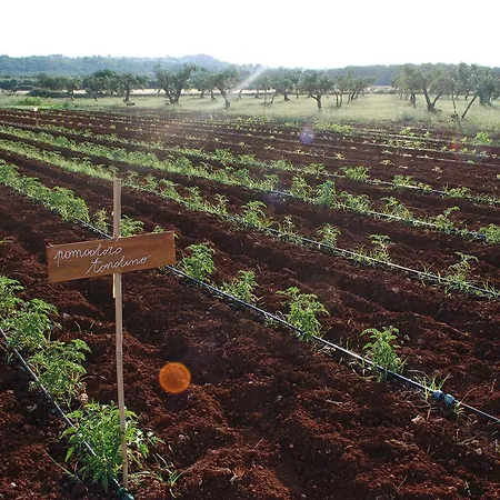 Farm stay Masseria Galatea Alessano