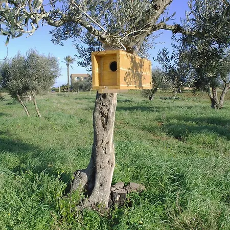 Masseria Galatea Farm stay *