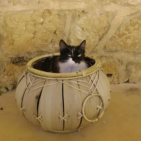 Masseria Galatea Farm stay *